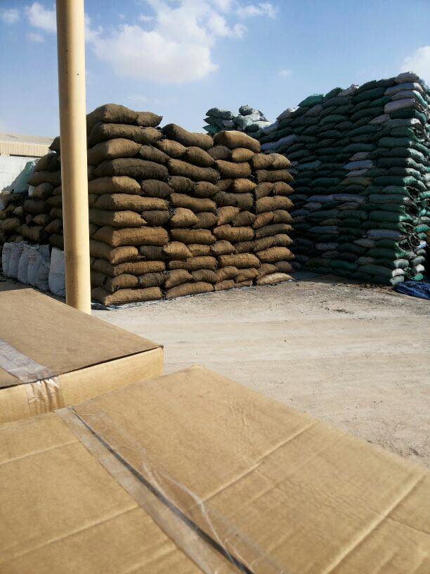 فحم طلح سوداني