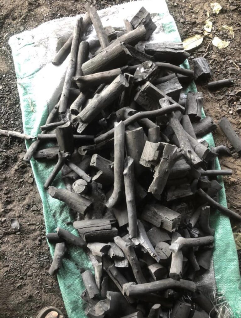 فحم أصابع افريقي