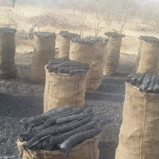 فحم غابات السودان